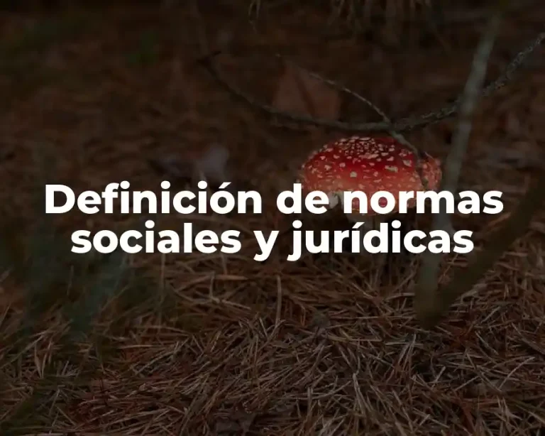 Definición de normas sociales y jurídicas