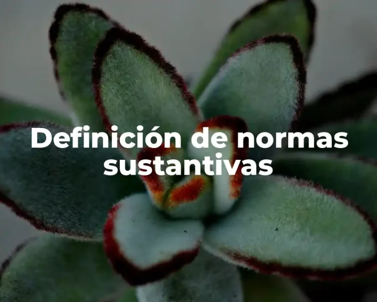 Definición de normas sustantivas