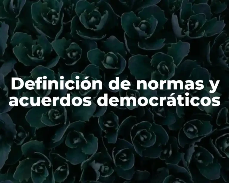 Definición de normas y acuerdos democráticos