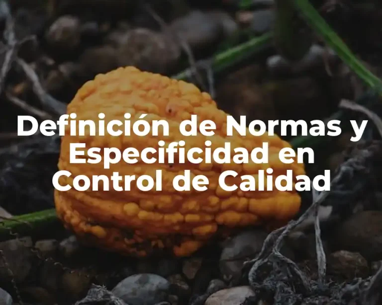 Definición de Normas y Especificidad en Control de Calidad