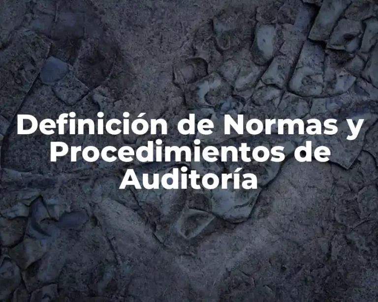 Definición de Normas y Procedimientos de Auditoría