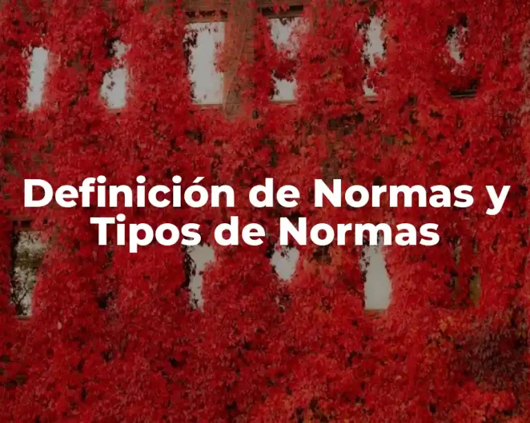 Definición de Normas y Tipos de Normas
