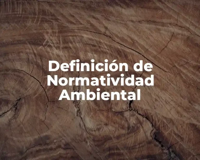 Definición de Normatividad Ambiental