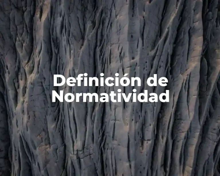 Definición de Normatividad