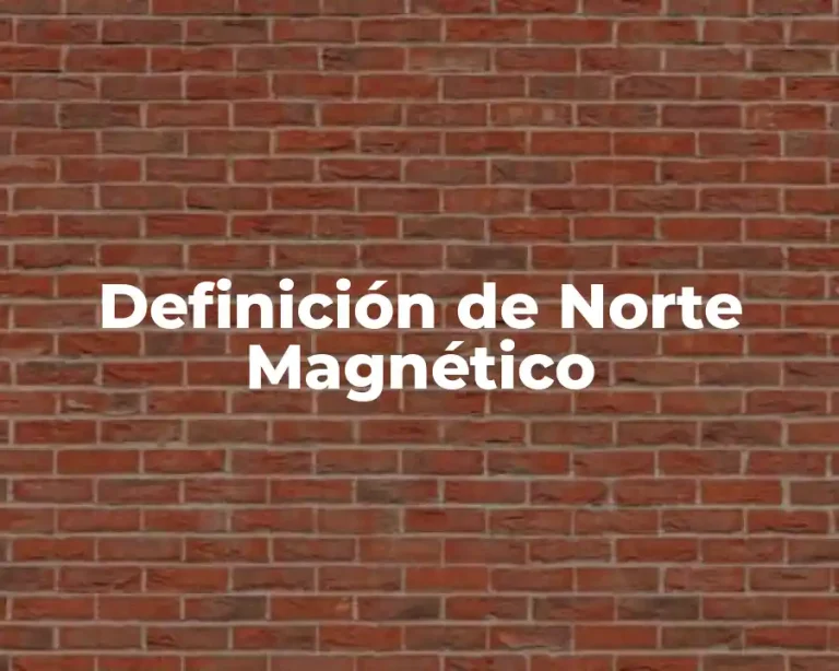 Definición de Norte Magnético