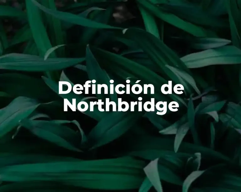 Definición de Northbridge