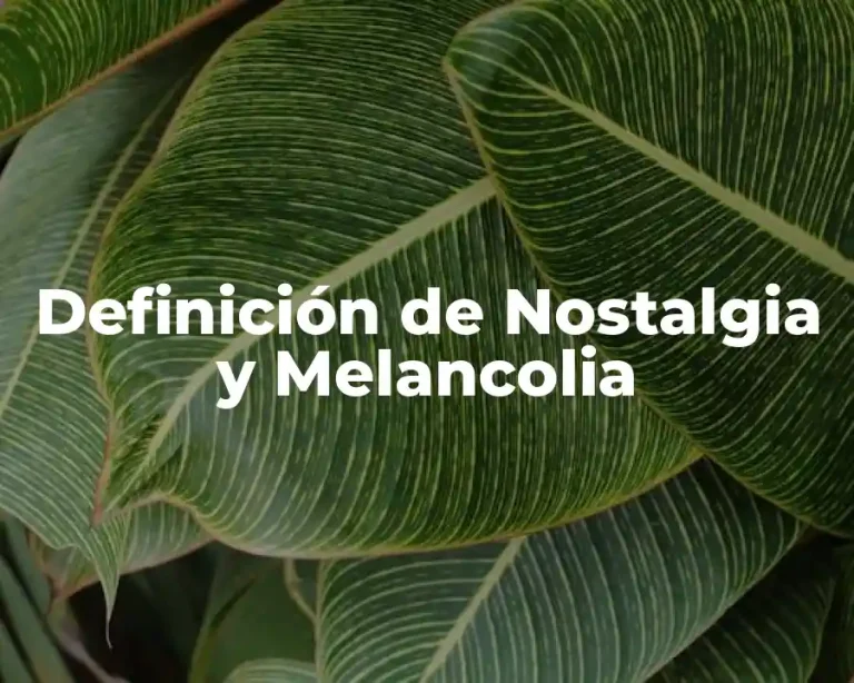 Definición de Nostalgia y Melancolia