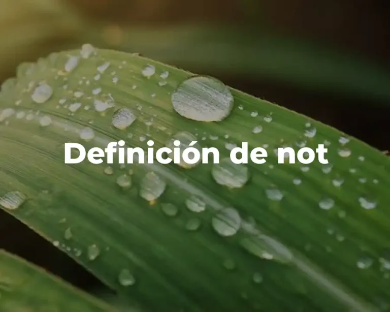 Definición de not