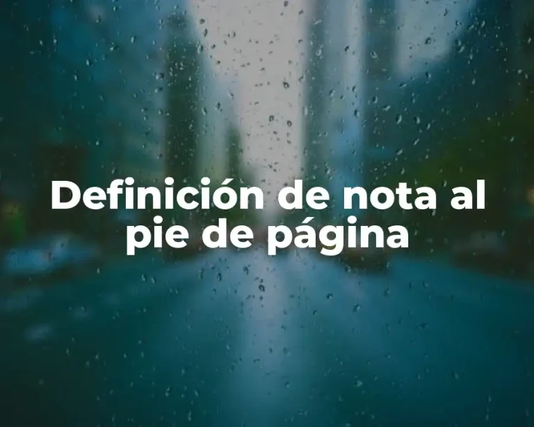 Definición de nota al pie de página
