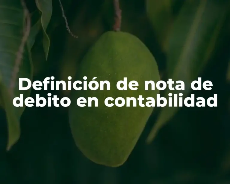 Definición de nota de debito en contabilidad