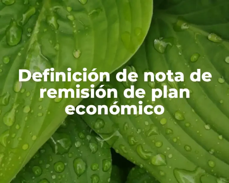 Definición de nota de remisión de plan económico