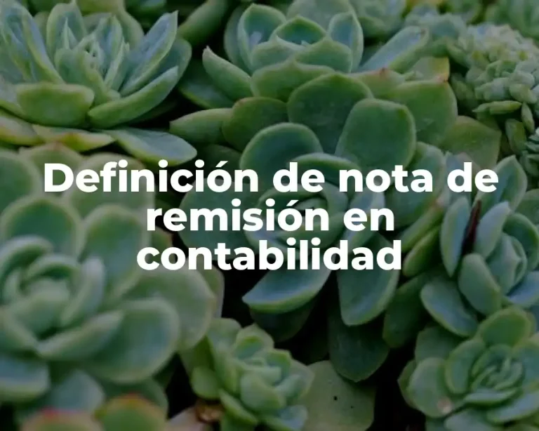 Definición de nota de remisión en contabilidad