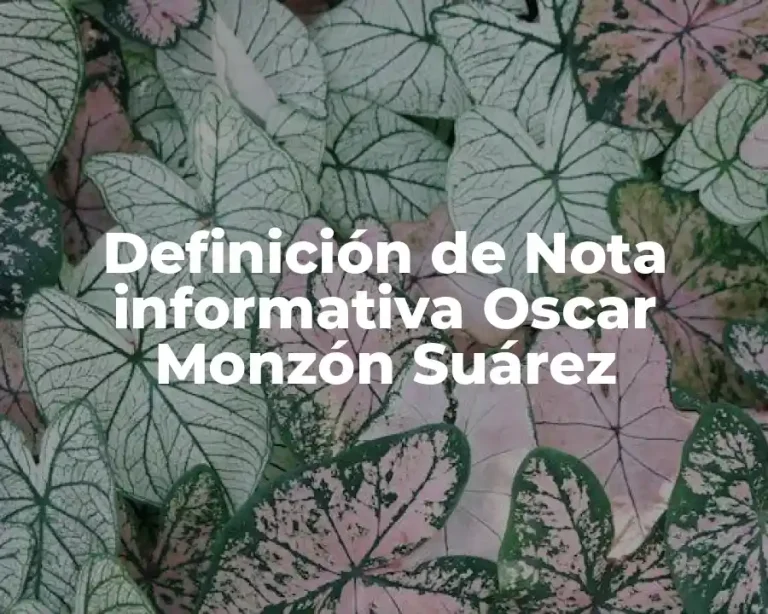 Definición de Nota informativa Oscar Monzón Suárez
