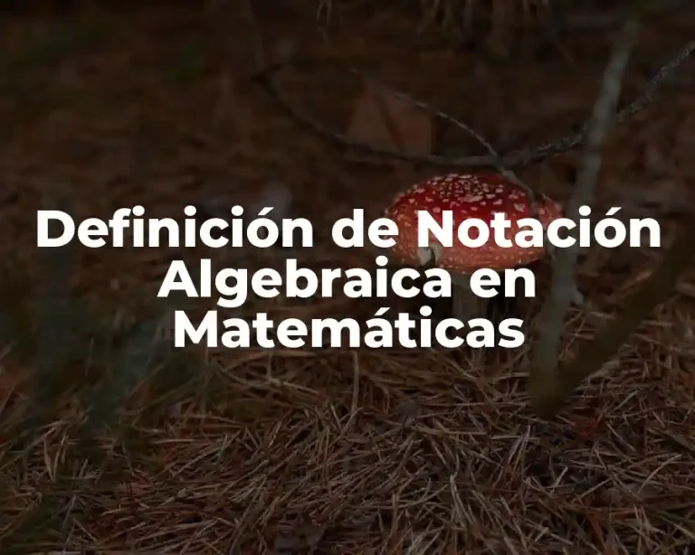 Definición de Notación Algebraica en Matemáticas