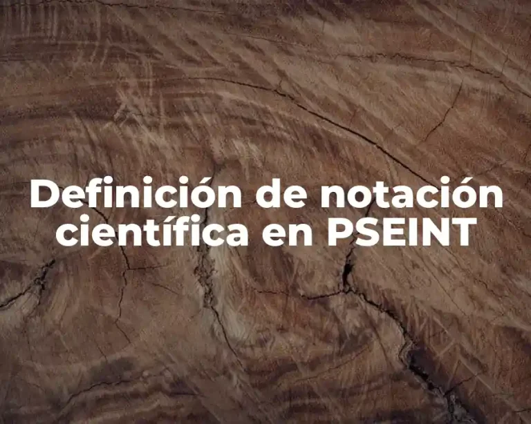 Definición de notación científica en PSEINT