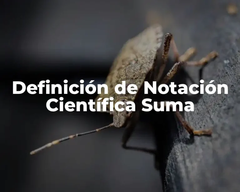 Definición de Notación Científica Suma