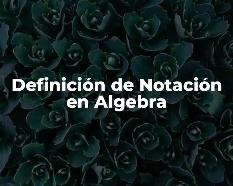 Definición de Notación en Algebra
