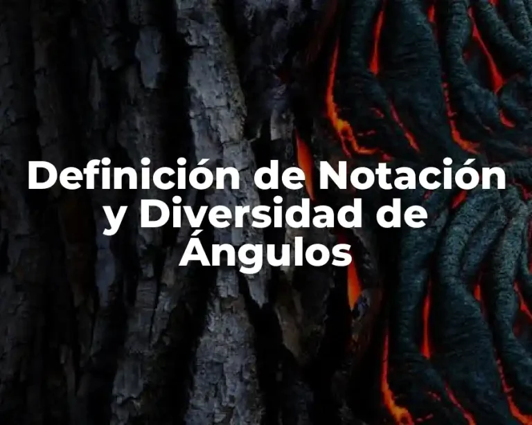 Definición de Notación y Diversidad de Ángulos