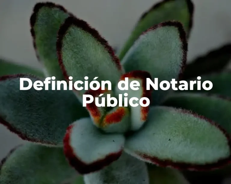 Definición de Notario Público
