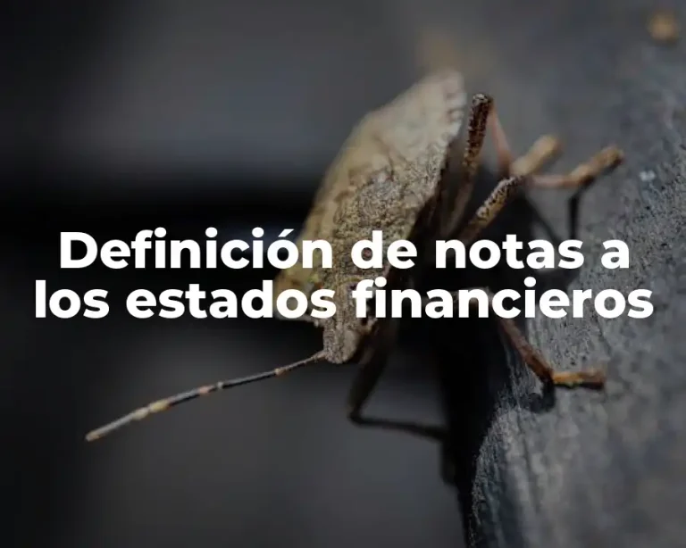 Definición de notas a los estados financieros