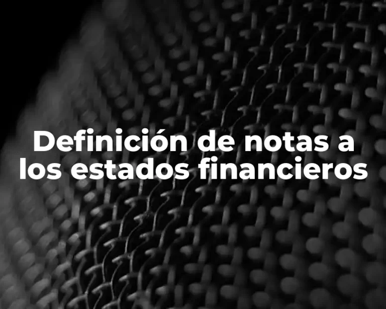 Definición de notas a los estados financieros