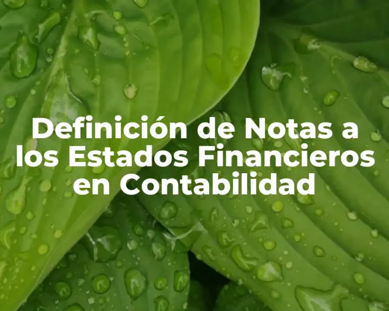 Definición de Notas a los Estados Financieros en Contabilidad