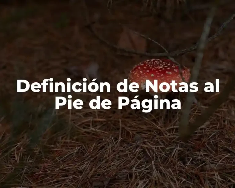 Definición de Notas al Pie de Página
