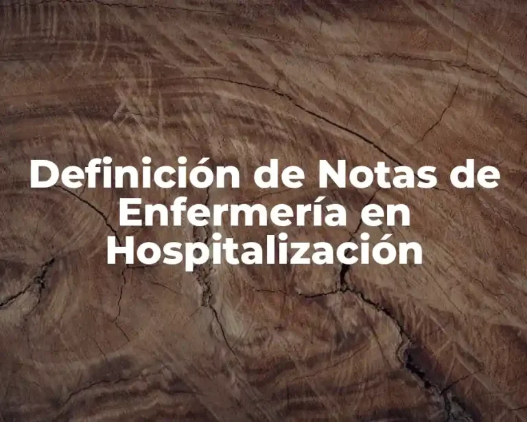 Definición de Notas de Enfermería en Hospitalización