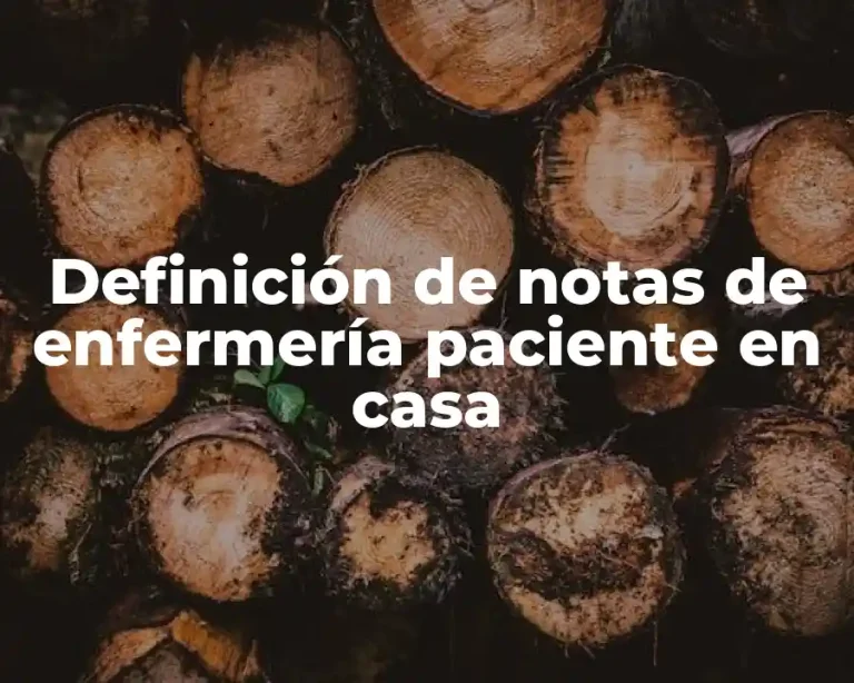 Definición de notas de enfermería paciente en casa
