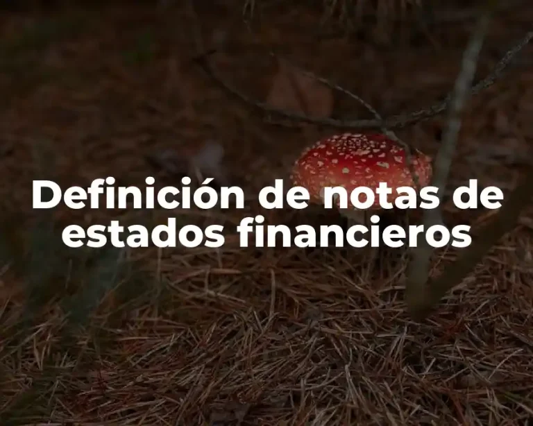 Definición de notas de estados financieros