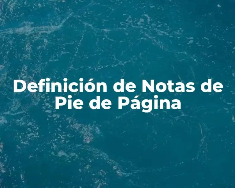 Definición de Notas de Pie de Página