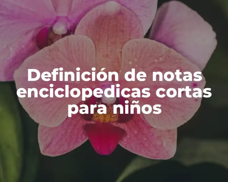 Definición de notas enciclopedicas cortas para niños