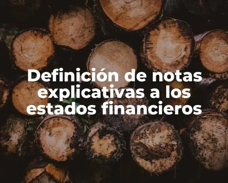 Definición de notas explicativas a los estados financieros