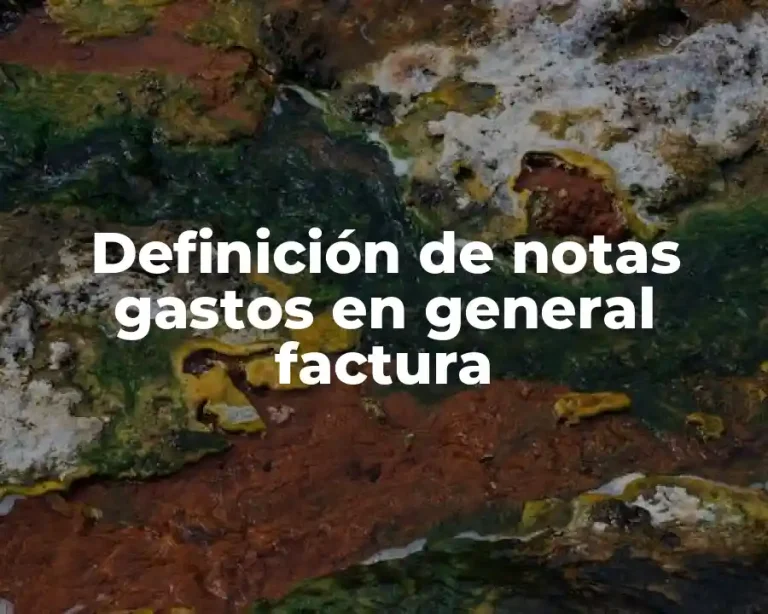 Definición de notas gastos en general factura