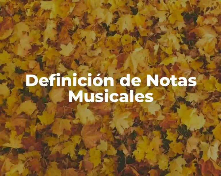 Definición de Notas Musicales