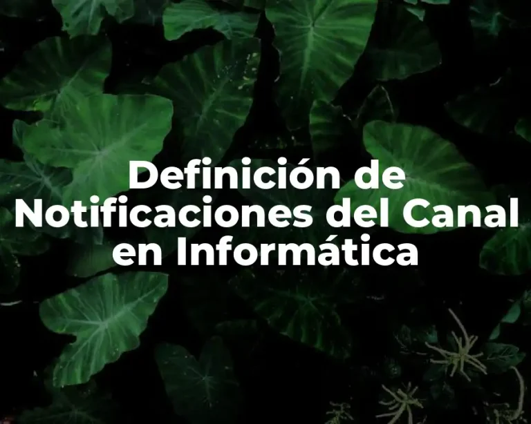 Definición de Notificaciones del Canal en Informática