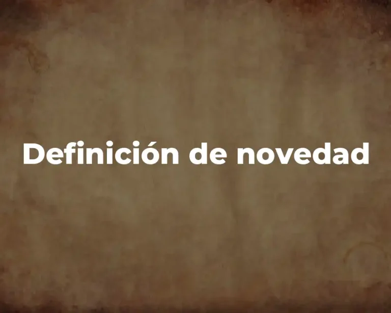 Definición de novedad