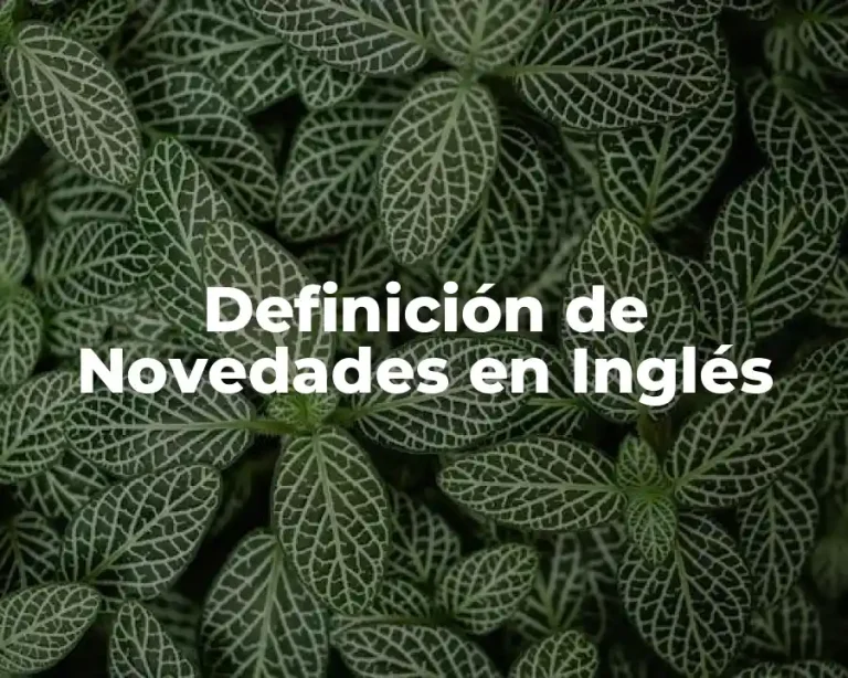 Definición de Novedades en Inglés