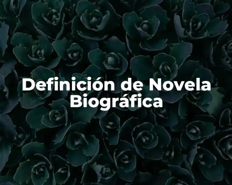 Definición de Novela Biográfica