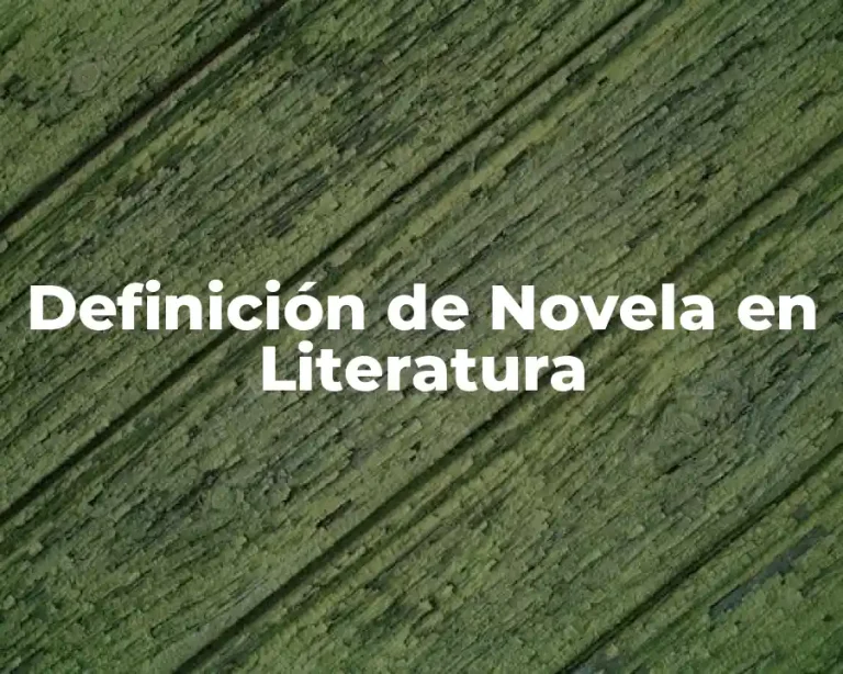 Definición de Novela en Literatura