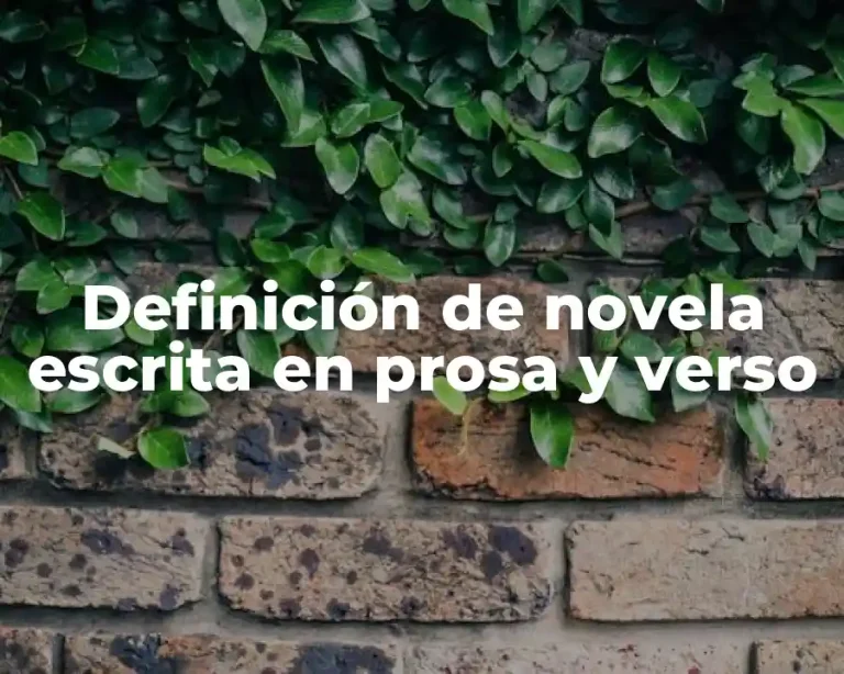 Definición de novela escrita en prosa y verso