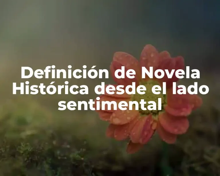 Definición de Novela Histórica desde el lado sentimental