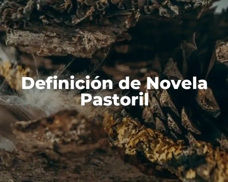 Definición de Novela Pastoril