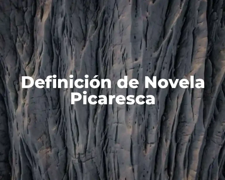 Definición de Novela Picaresca