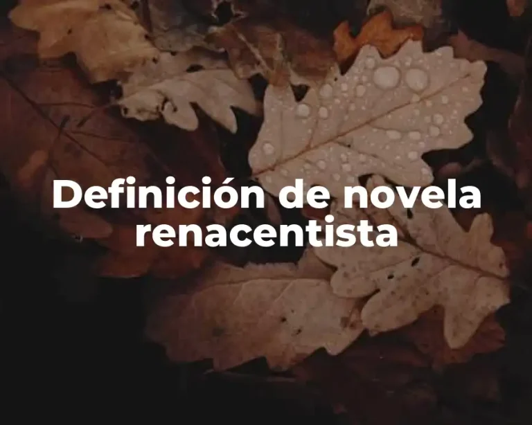 Definición de novela renacentista