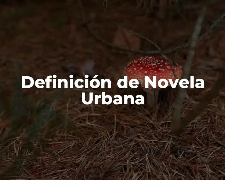 Definición de Novela Urbana