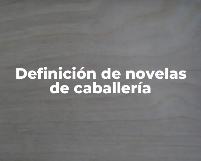 Definición de novelas de caballería