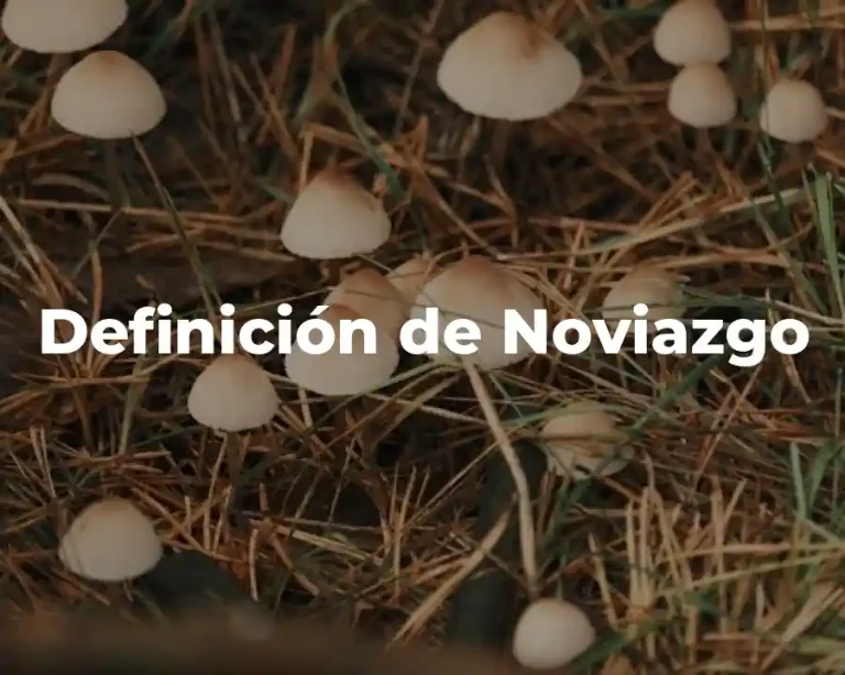 Definición de Noviazgo