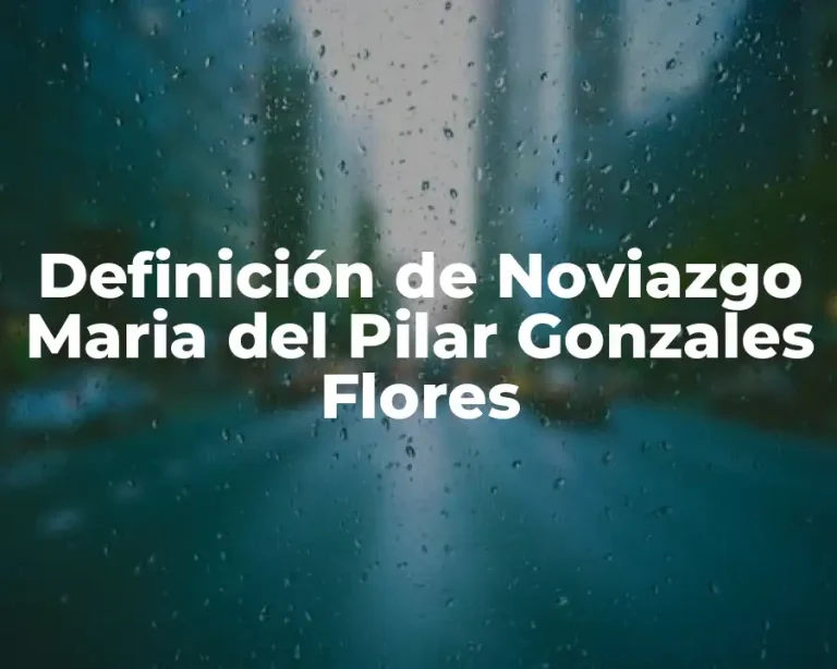 Definición de Noviazgo Maria del Pilar Gonzales Flores