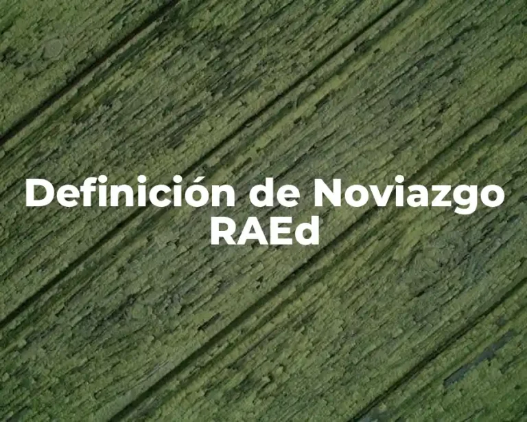 Definición de Noviazgo RAEd